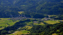 Bohinjska bela