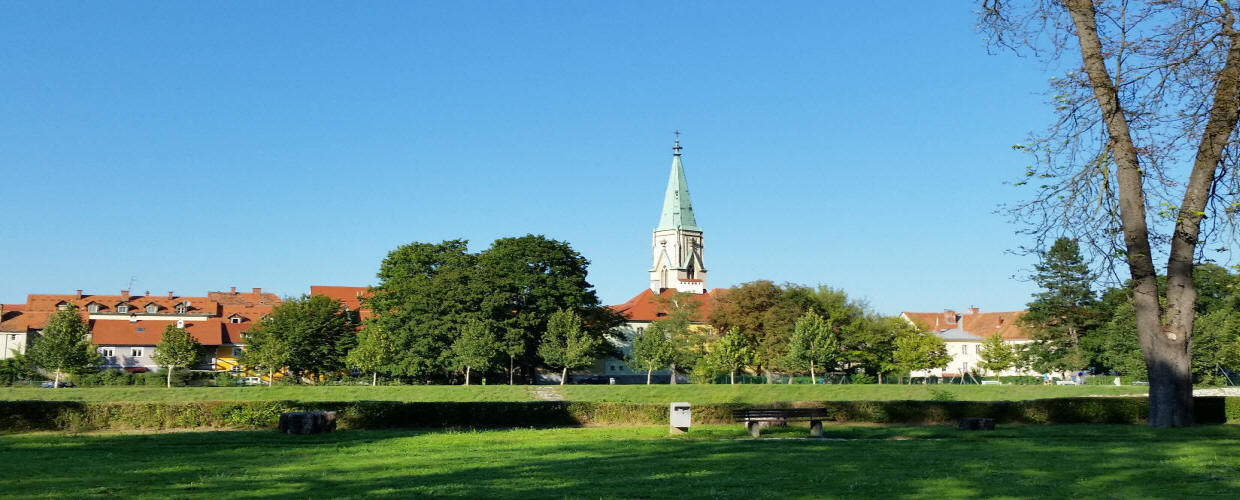Cerkev svetega Danijela Slomškov trg Celje