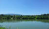 Drava v Mariboru