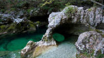 Korita mostnice<