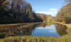 Mariborski mestni park