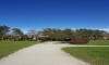 Mariborski mestni park