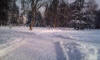 Mariborski mestni park