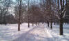 Mariborski mestni park