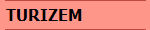 TURIZEM