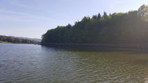 Šmartinsko jezero v Celju